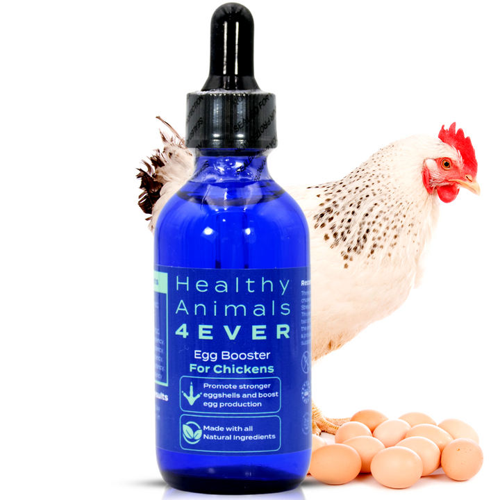 HEALTHYANIMALS4EVER ALL-NATURAL CHICKEN EGG BOOSTER (Liquid)