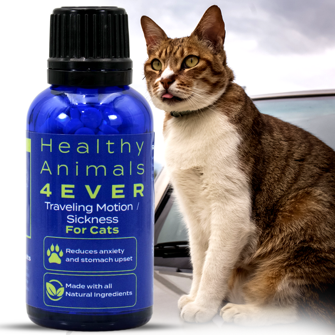 Traveling/Motion Sickness Support Formula for Cats, 300 Tablets,  Six Pack- Save 50%