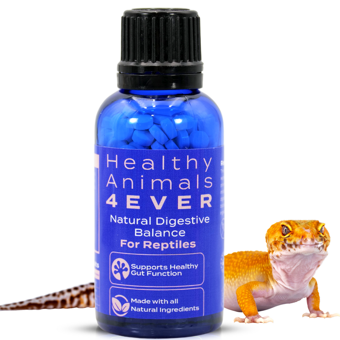 Natural Digestive Balance for Reptiles: Supports Healthy Gut Function Six Pack- Save 50%