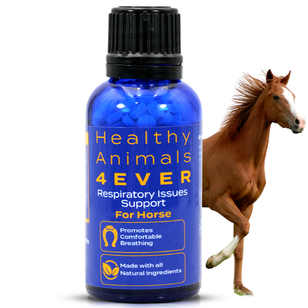 HORSE RESPIRATORY ISSUES SUPPORT