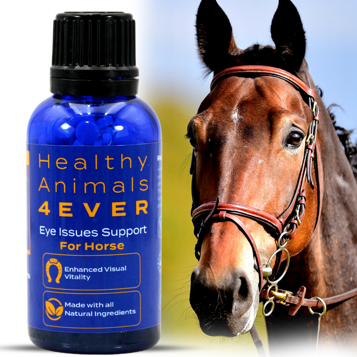 HORSE EYE HEALTH SUPPORT Six Pack- Save 50%