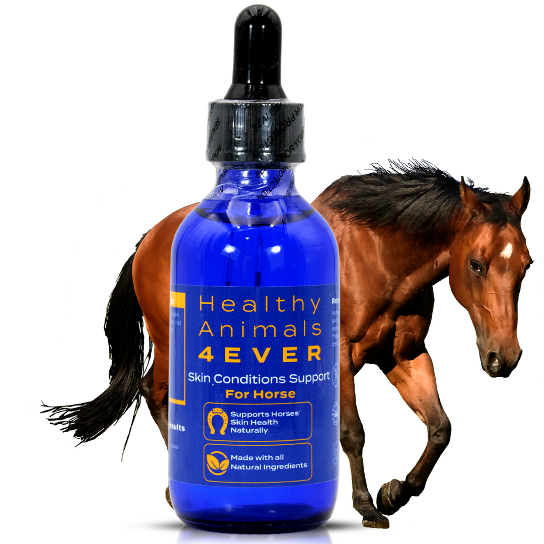 HORSE SKIN CONDITIONS SUPPORT (Liquid)