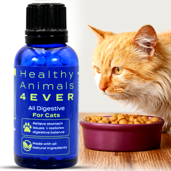 All Digestive - Cats Triple Pack- Save 30%