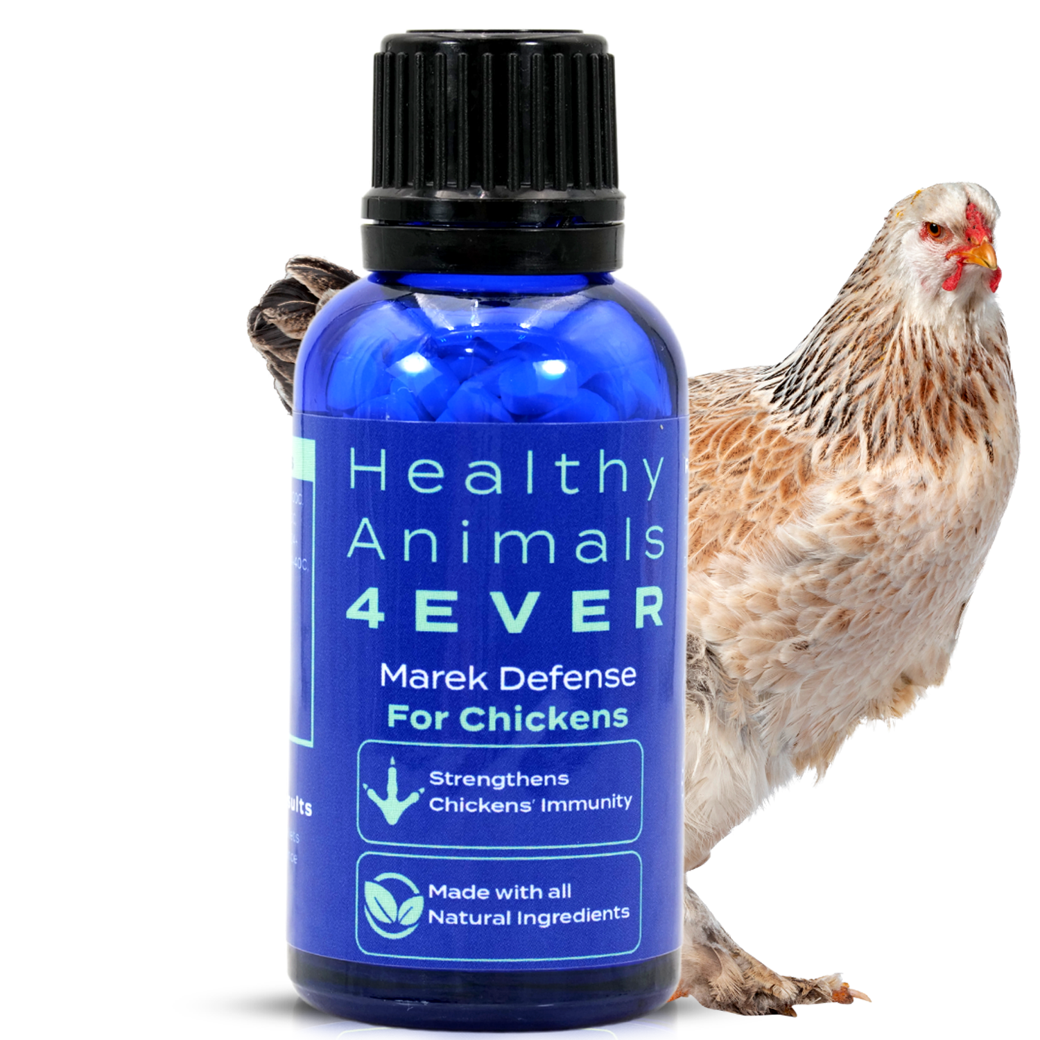 Chicken Immunity Support for Marek’s Disease