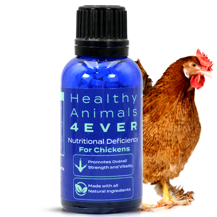 HEALTHYANIMALS4EVER ALL-NATURAL CHICKEN NUTRITIONAL DEFICIENCY SUPPLEMENT