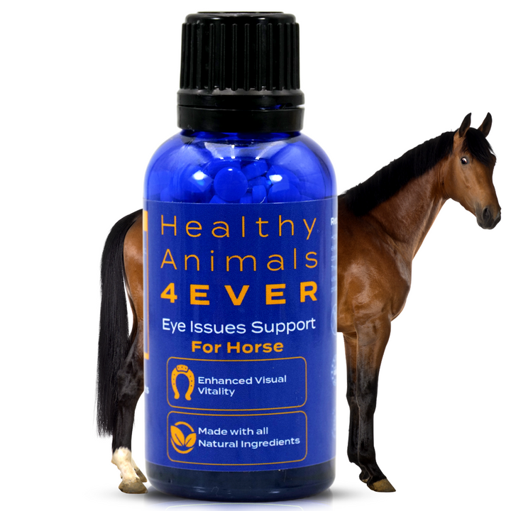 HORSE EYE HEALTH SUPPORT