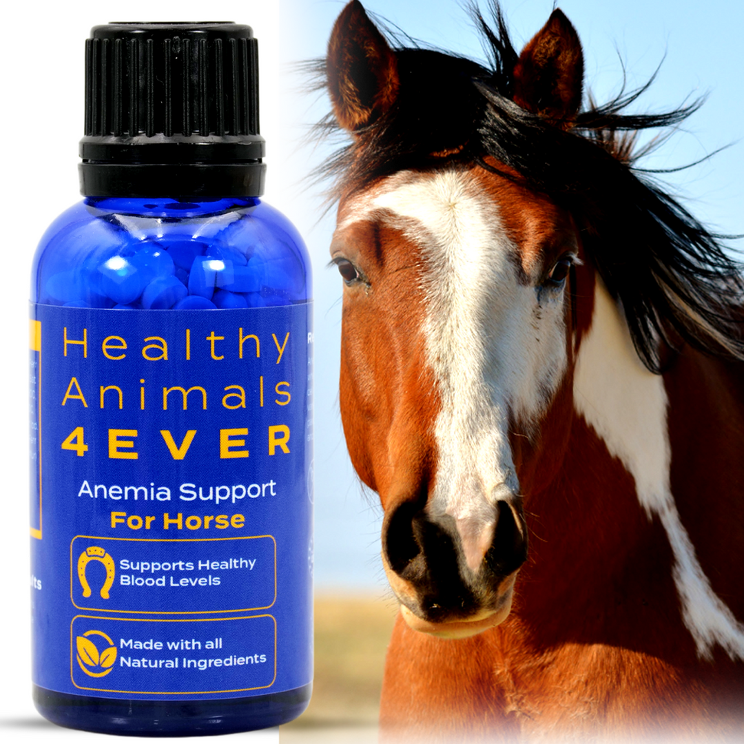 HORSE ANEMIA SUPPORT Triple Pack- Save 30%