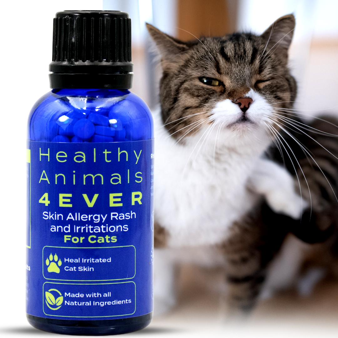 Skin Allergy Rash and Irritations - Cats Six Pack- Save 50%