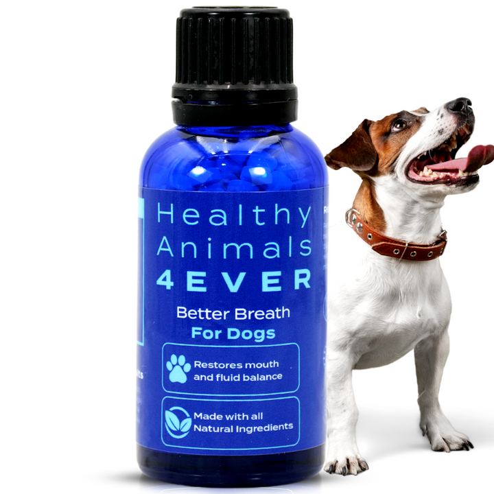 Better Breath - Dogs