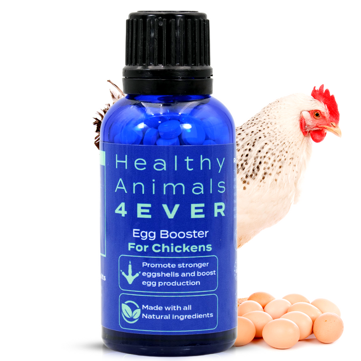 HEALTHYANIMALS4EVER ALL-NATURAL CHICKEN EGG BOOSTER