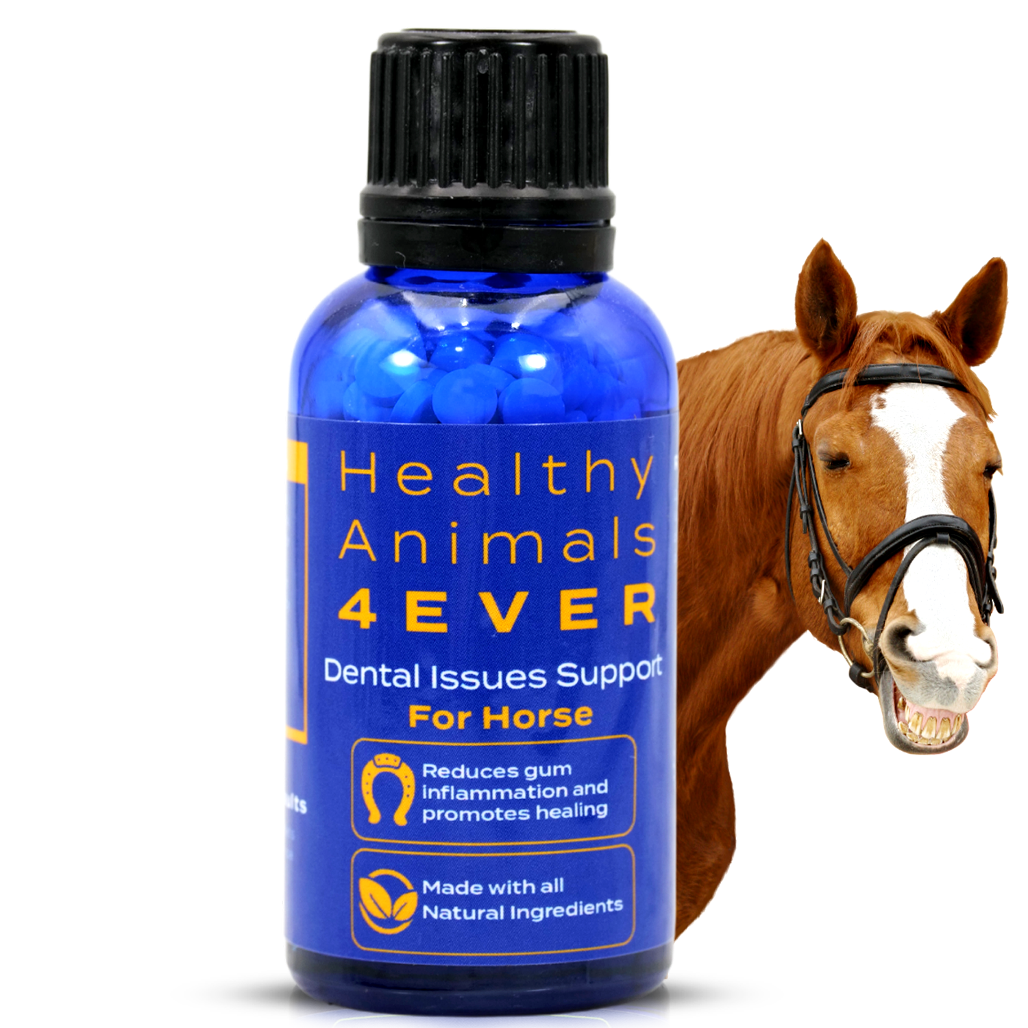 Horse Dental Health Support