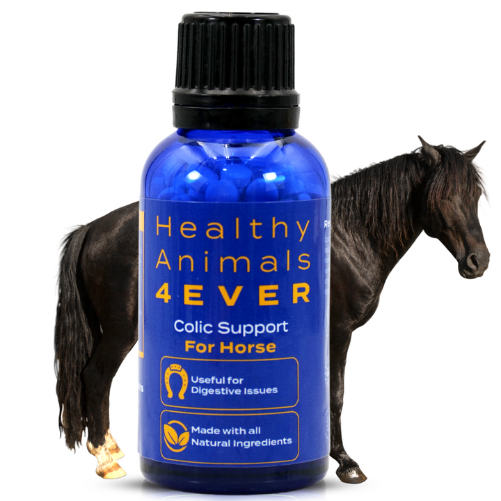 HORSE COLIC SUPPORT