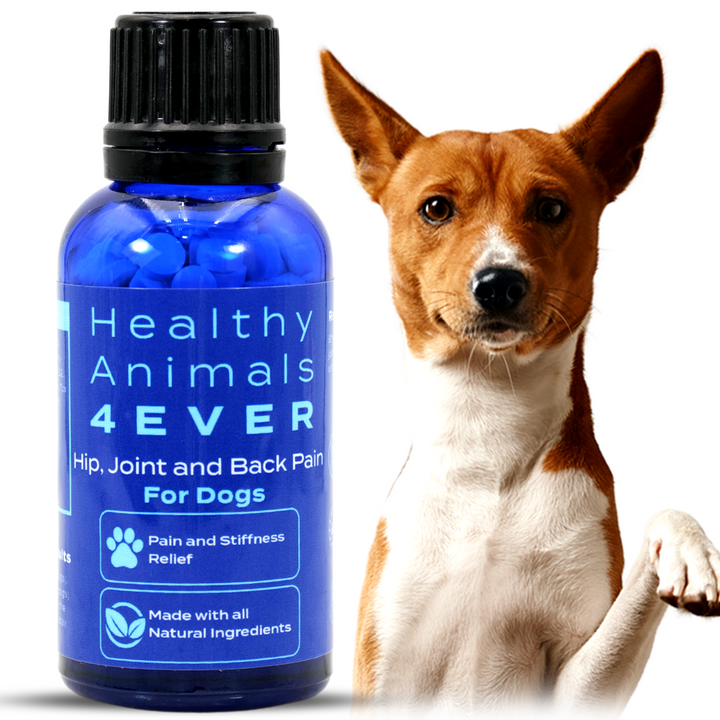 Hip, Joint and Back Pain Relief - Dogs