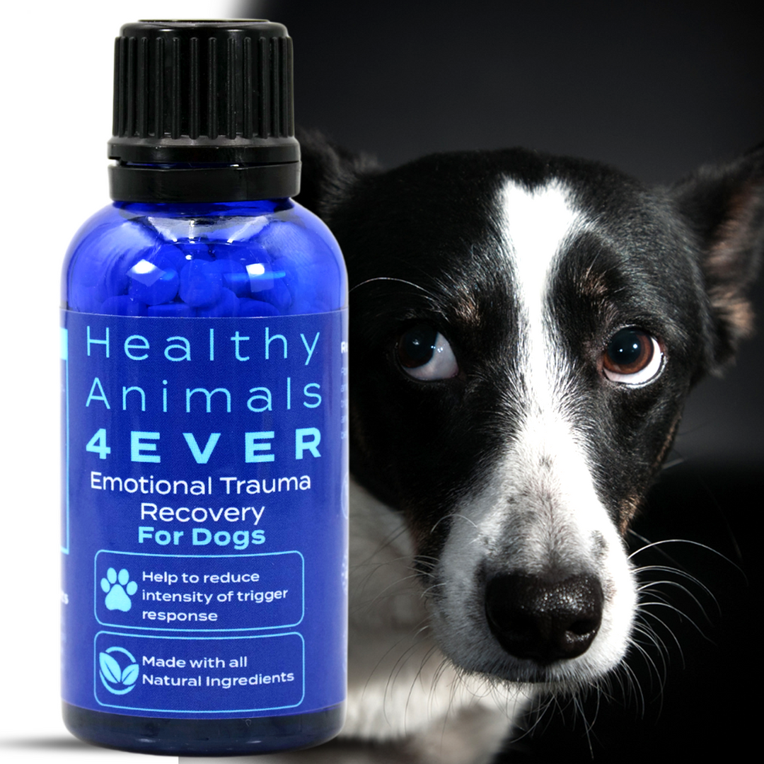 Emotional Trauma Recovery - Dogs  Six Pack- Save 50%