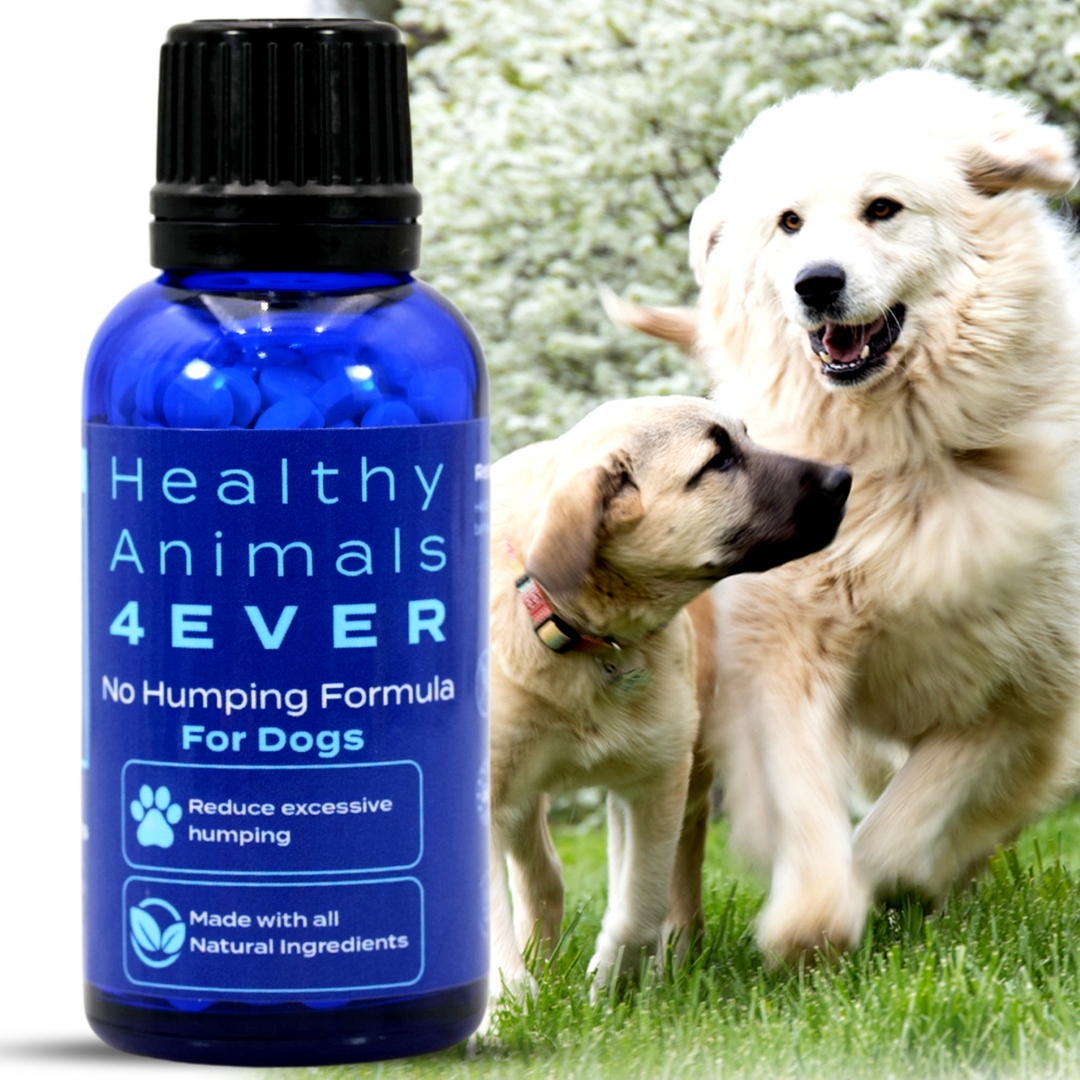 No Humping Formula - Dogs Six Pack- Save 50%