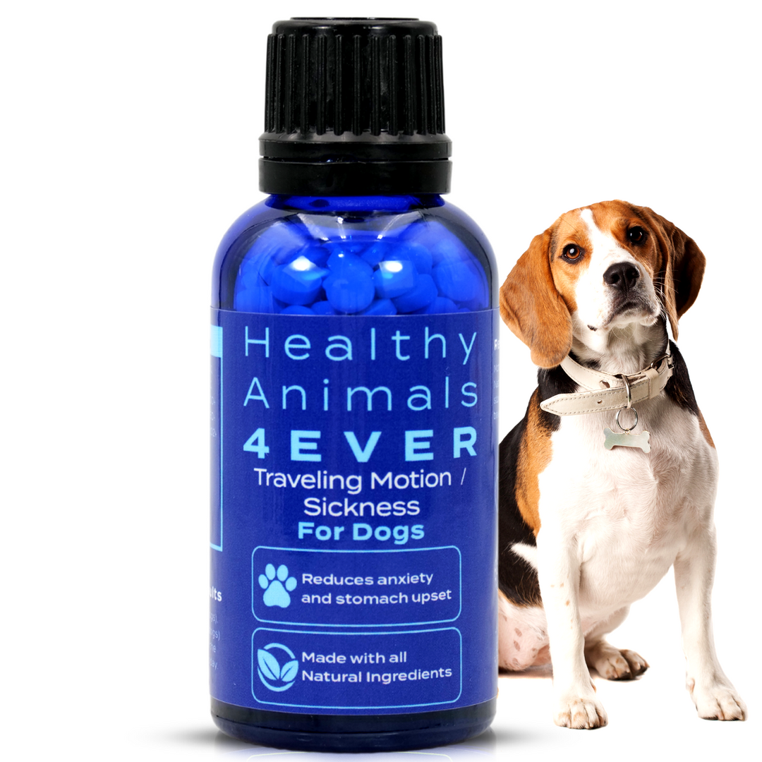 Traveling/Motion Sickness Support Formula for Dogs,  Triple Pack- Save 30%