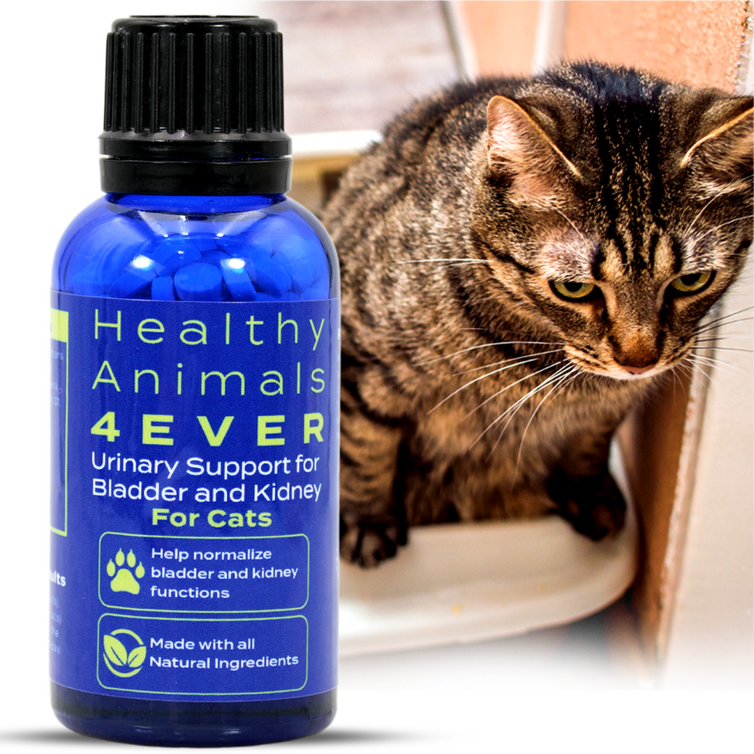 Urinary Support for Bladder and Kidney Formula for Cats, Triple Pack- Save 30%