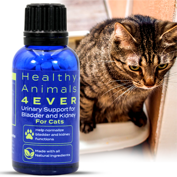 Urinary Support for Bladder and Kidney Formula for Cats, 300 Pellets,  Six Pack- Save 50%