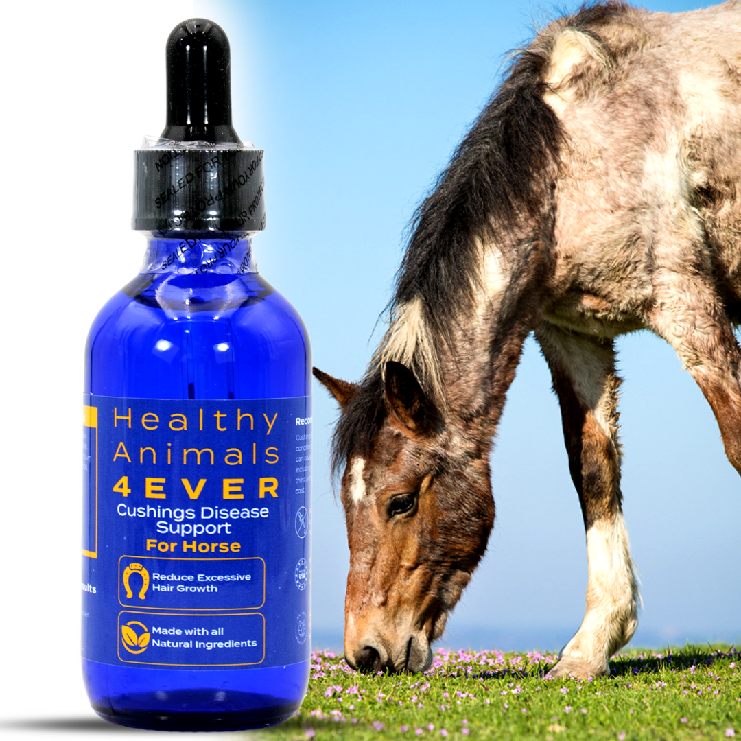 HORSE CUSHING DISEASE SUPPORT (Liquid)Triple Pack- Save 30%