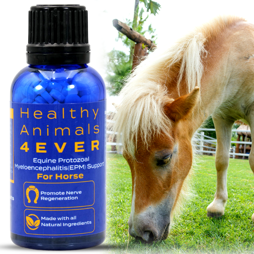 EQUINE PROTOZOAL MYELOENCEPHALITIS (EPM) SUPPORT  Triple Pack- Save 30%