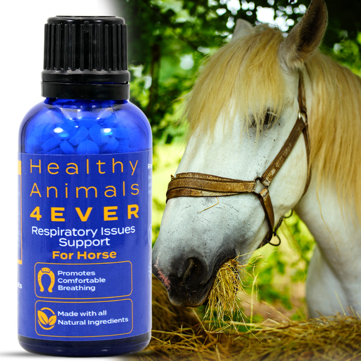 HORSE RESPIRATORY ISSUES SUPPORT Triple Pack- Save 30%