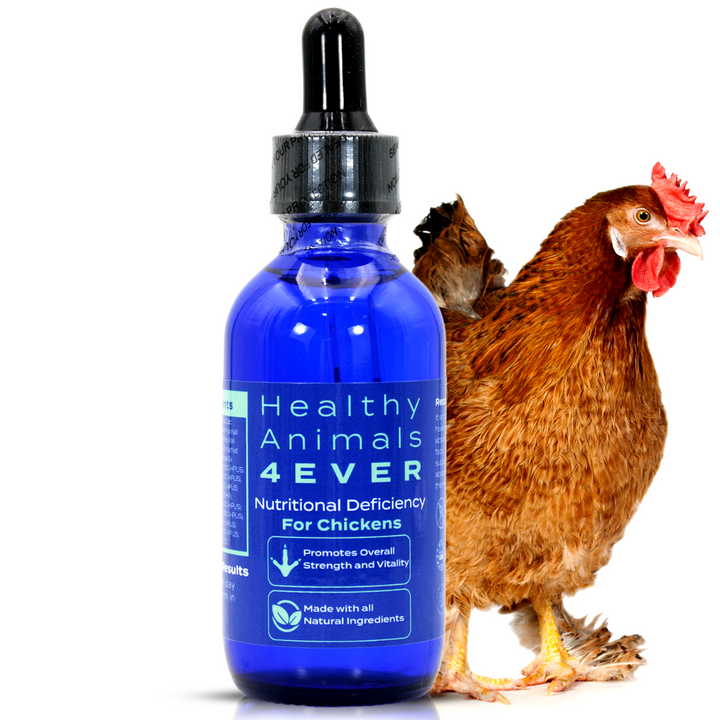 HEALTHYANIMALS4EVER ALL-NATURAL CHICKEN NUTRITIONAL DEFICIENCY SUPPLEMENT (Liquid) Six Pack- Save 50%