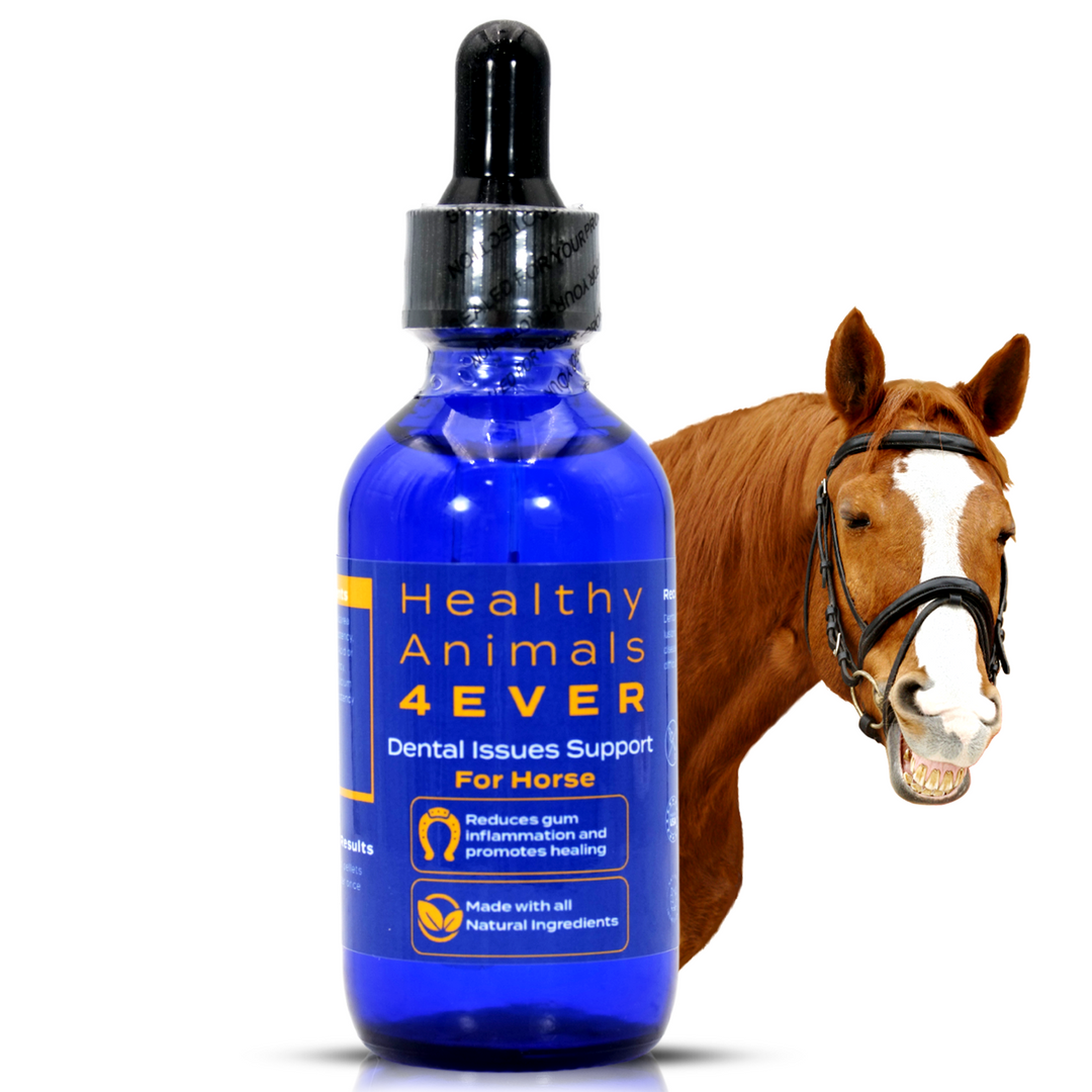 Horse Dental Issues Support (Liquid)