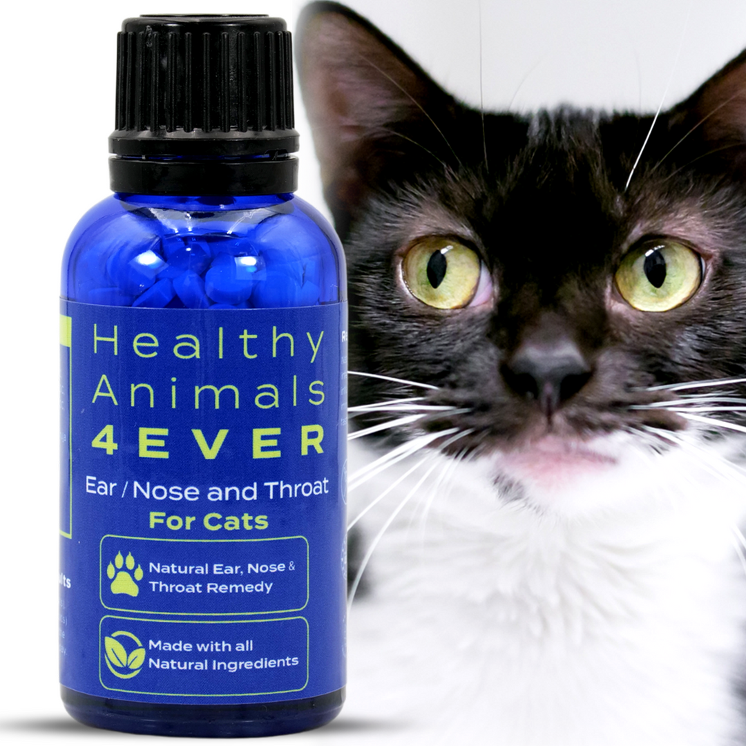 Ear Nose and Throat - Cats Triple Pack- Save 30%