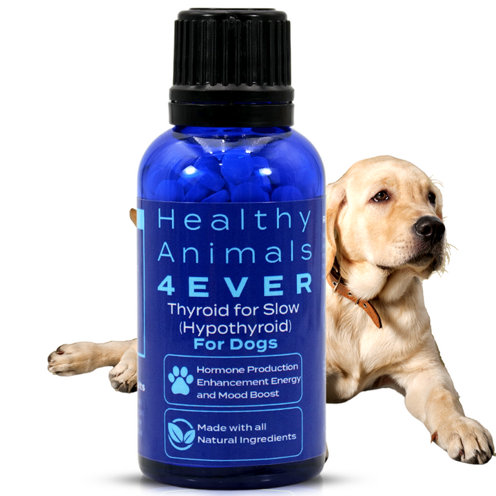 Natural Hypothyroidism Support Formula for Dogs, Triple Pack- Save 30%