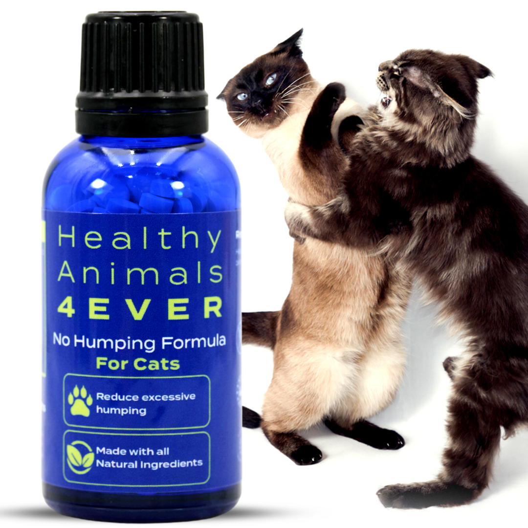 No Humping Formula - Cats Triple Pack- Save 30%