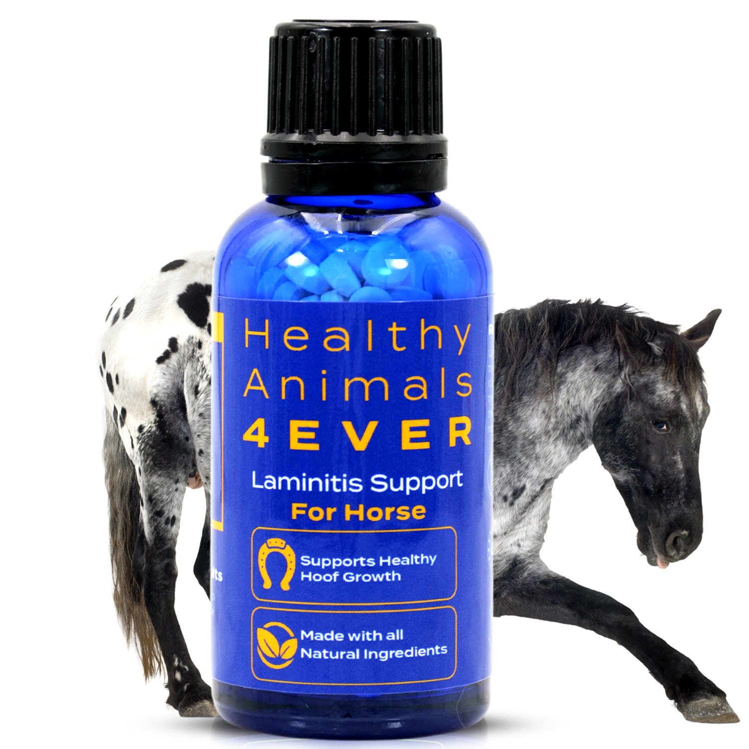 Horse Laminitis Support
