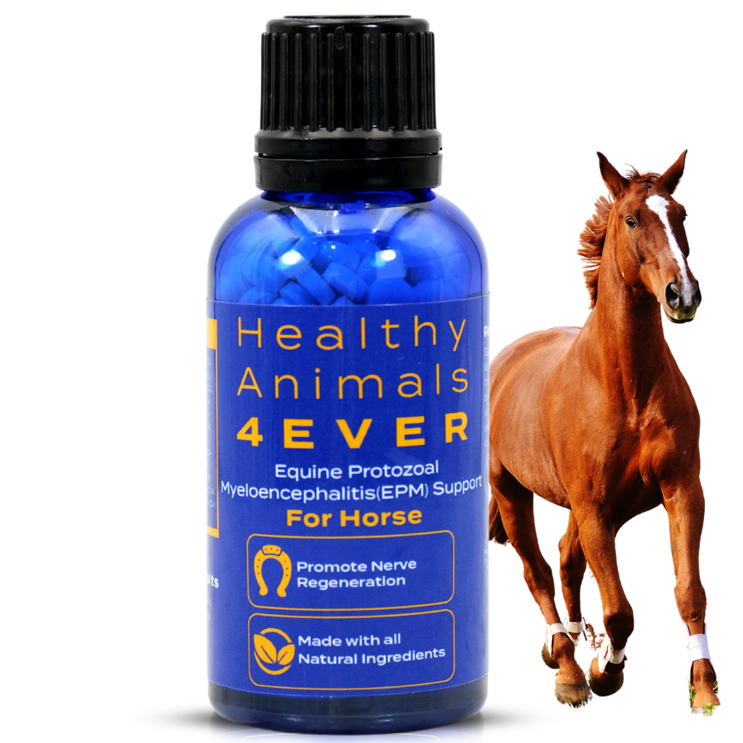 Equine Protozoal Myeloencephalitis (EPM) Support