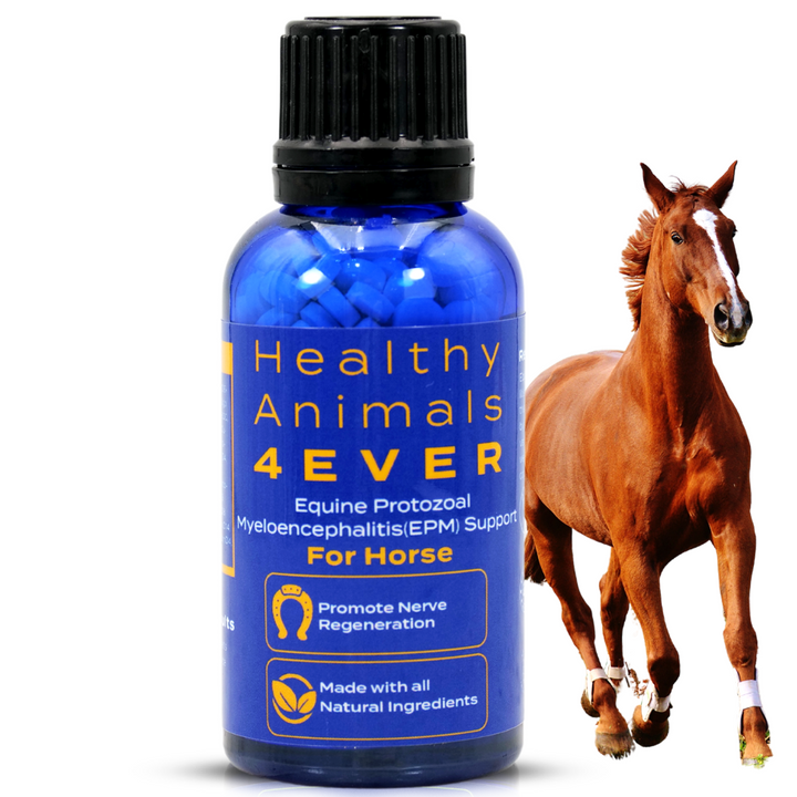 EQUINE PROTOZOAL MYELOENCEPHALITIS (EPM) SUPPORT