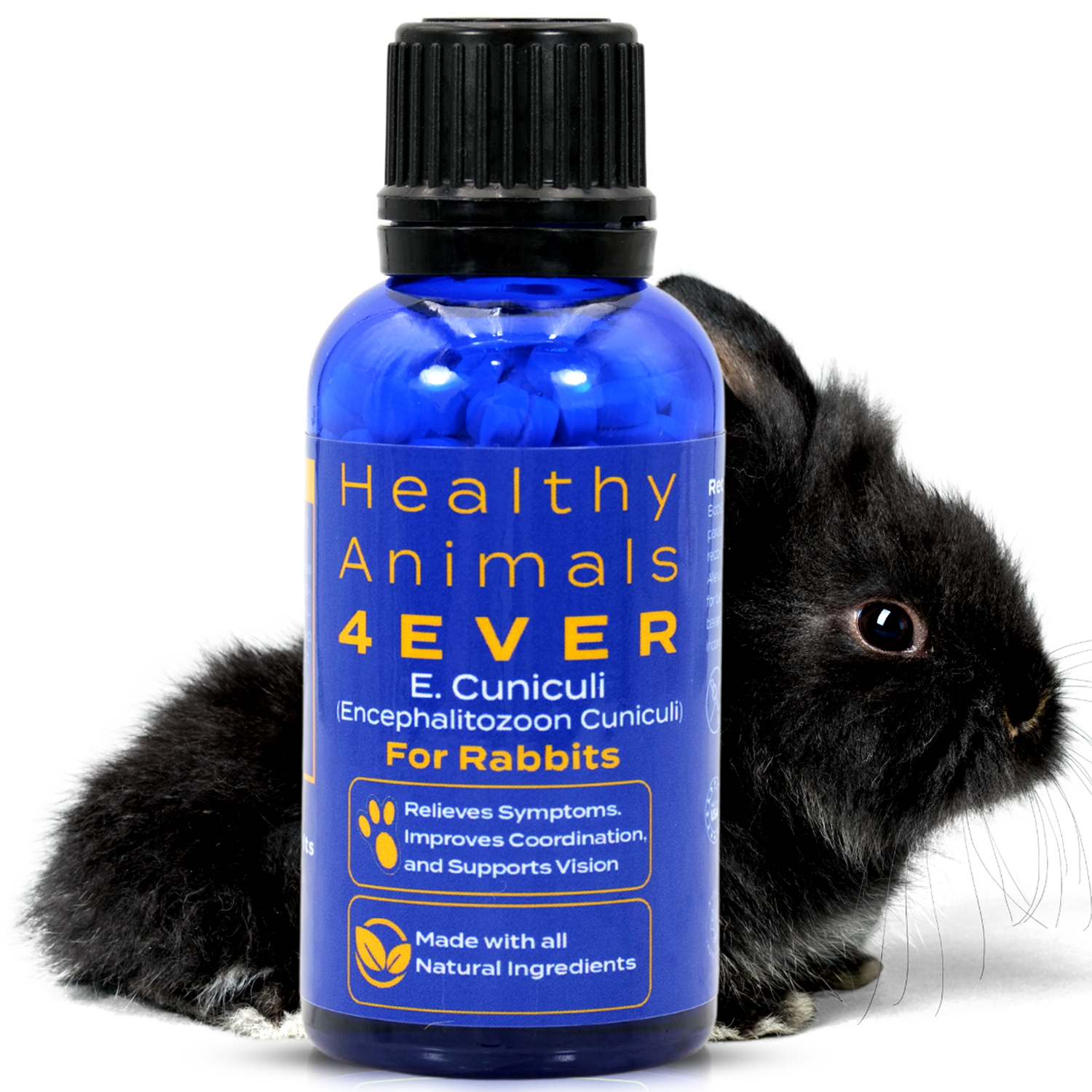 Rabbit Skin Care: How to Spot and Treat Common Skin Issues – Healthy ...