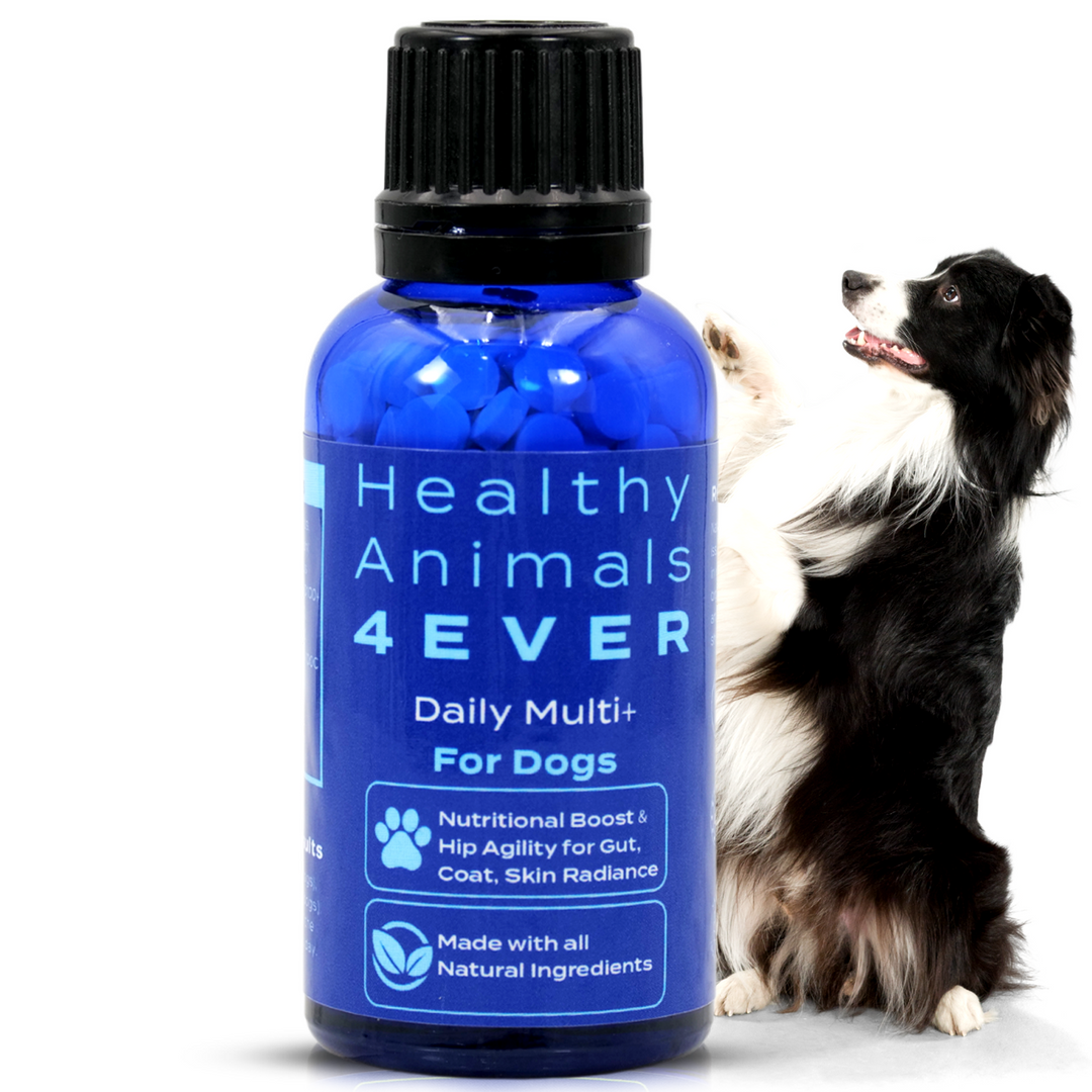 HEALTHY ANIMALS 4EVER - DAILY MULTI FOR DOGS