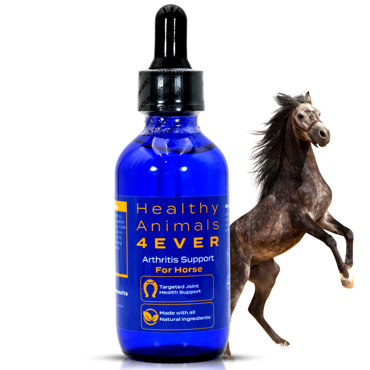 HORSE ARTHRITIS SUPPORT(Liquid)