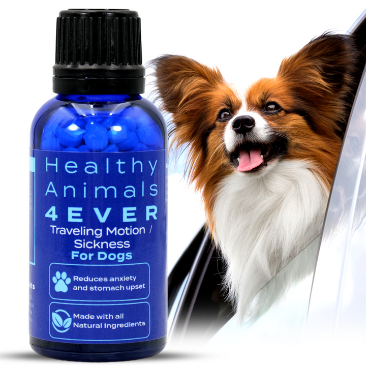 Traveling/Motion Sickness Support Formula for Dogs,  Triple Pack- Save 30%