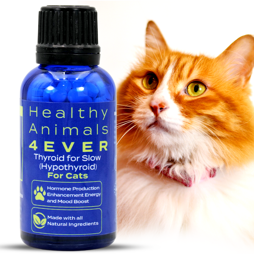 Natural Hypothyroidism Support Formula for Cats, 300 Pellets,  Six Pack- Save 50%