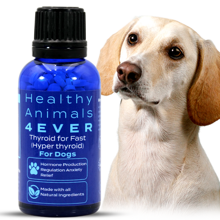 Natural Hyperthyroidism Support Formula for Dogs,  Triple Pack- Save 30%