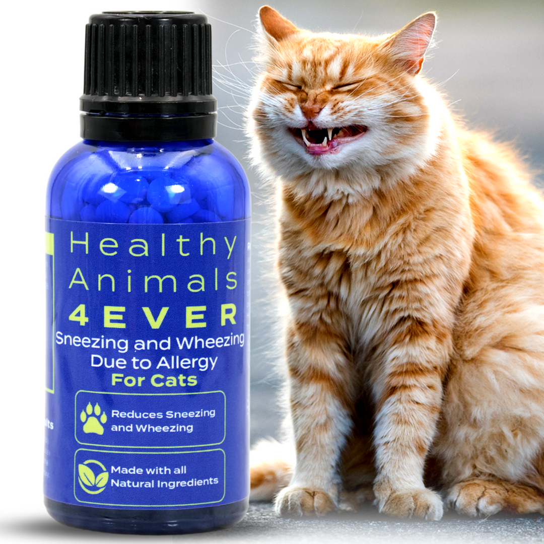 Sneezing and Wheezing Due to Allergy Formula for Cats, Triple Pack- Save 30%