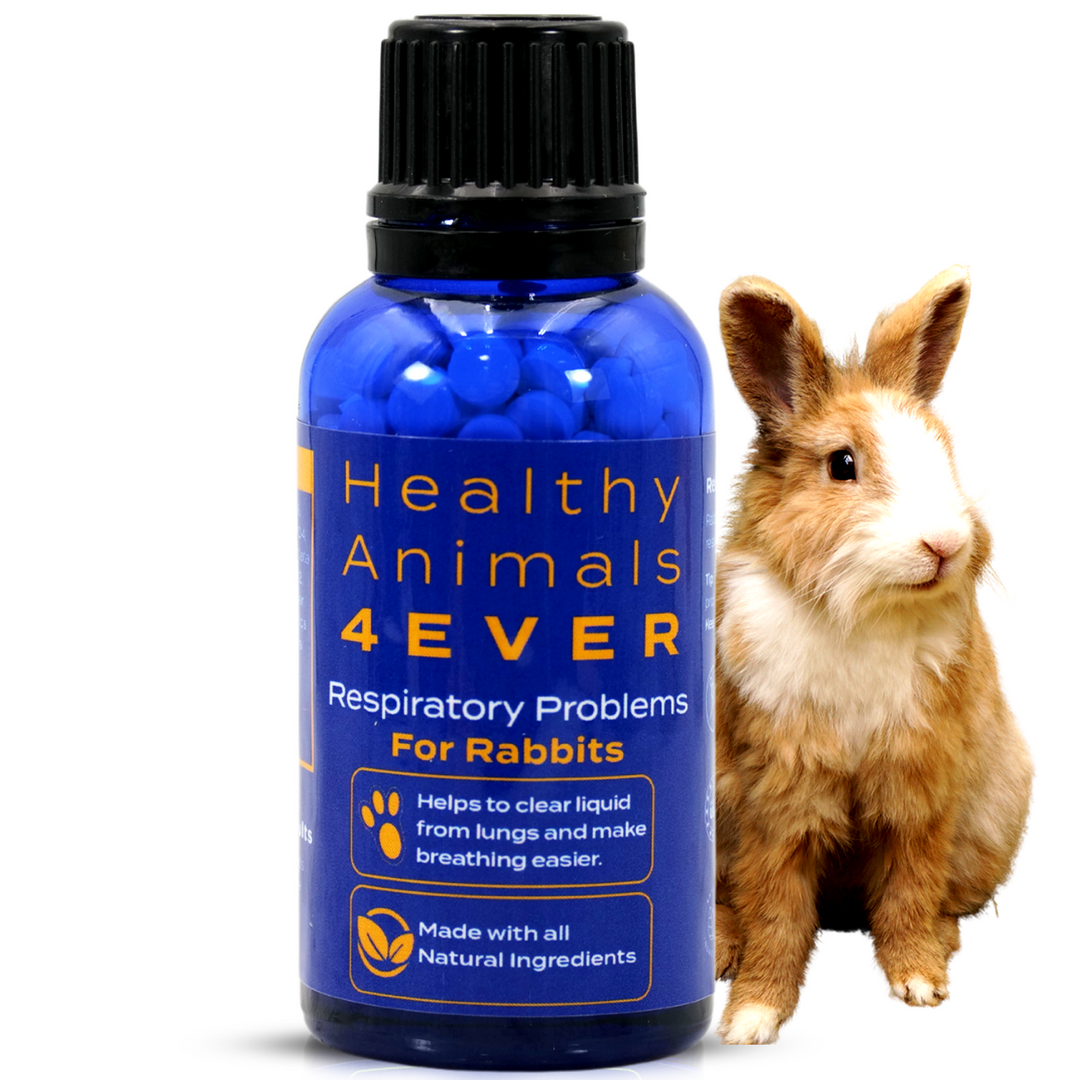 Respiratory Infection Remedy for Rabbits  Triple Pack- Save 30%