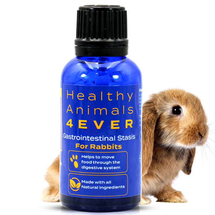 Gastrointestinal Stasis Relief for Rabbits Six Pack- Save 50%