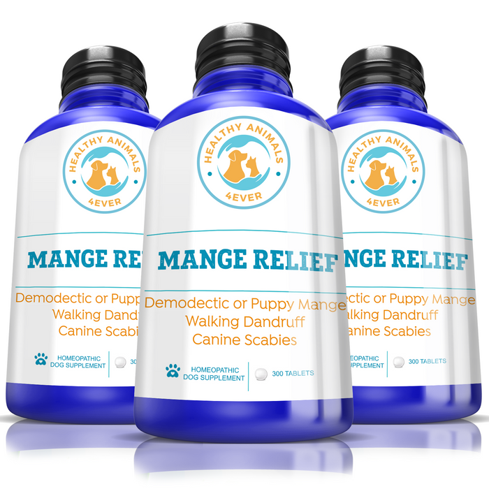 Mange Relief for Dogs - Treatment for Itchiness, Scabs, & Hair Loss Caused by Mites   Triple Pack- Save 30%