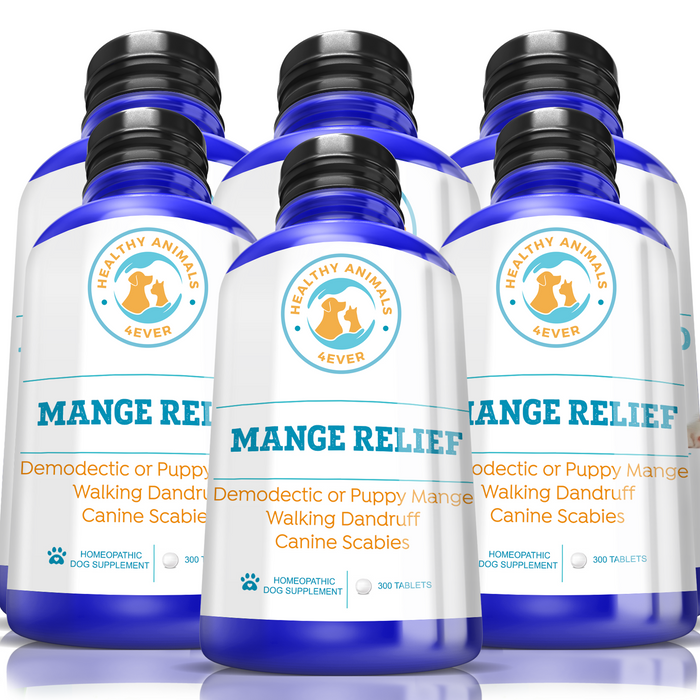 Mange Relief for Dogs - Treatment for Itchiness, Scabs, & Hair Loss Caused by Mites  Six Pack- Save 50%