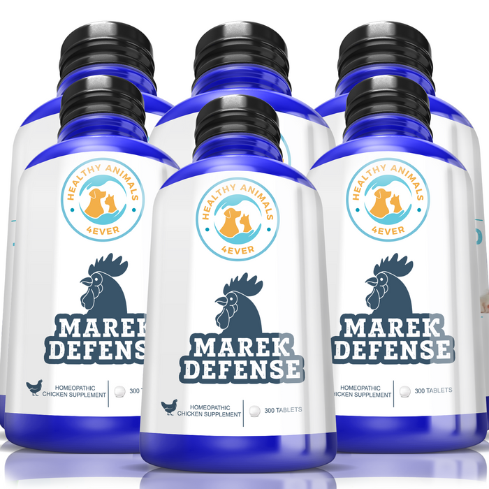 HEALTHYANIMALS4EVER ALL-NATURAL CHICKEN IMMUNITY SUPPORT FOR MAREK’S DISEASE Six Pack- Save 50%