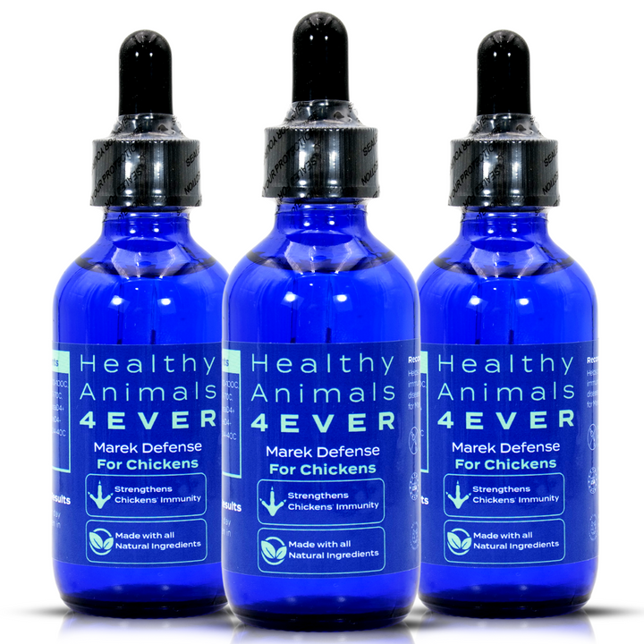 HEALTHYANIMALS4EVER ALL-NATURAL CHICKEN IMMUNITY SUPPORT FOR MAREK’S DISEASE (Liquid) Triple Pack- Save 30%