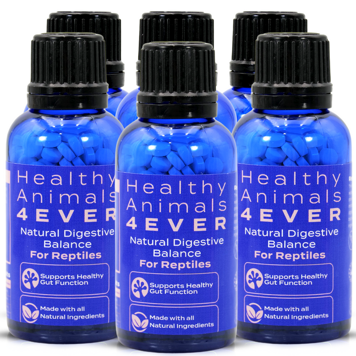 Natural Digestive Balance for Reptiles: Supports Healthy Gut Function Six Pack- Save 50%