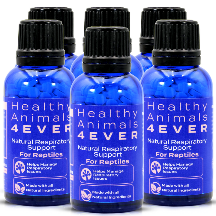 Natural Reptile Respiratory Support Six Pack- Save 50%