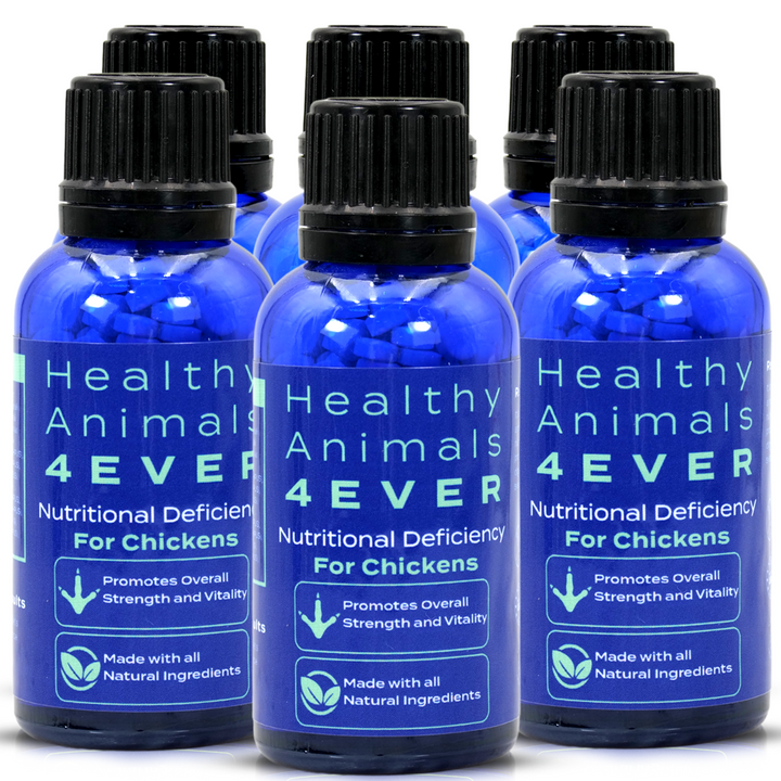 HEALTHYANIMALS4EVER ALL-NATURAL CHICKEN NUTRITIONAL DEFICIENCY SUPPLEMENT Six Pack- Save 50%