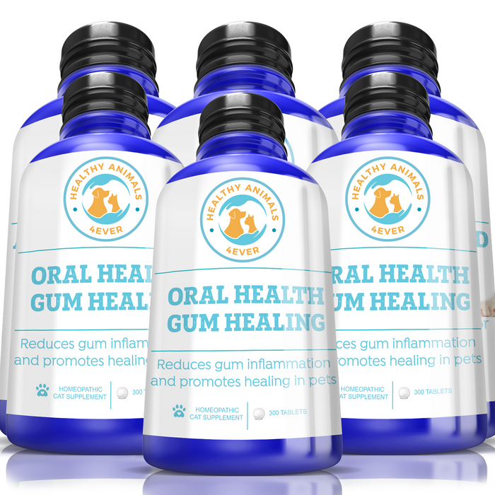 Oral Health Gum Healing Formula for Cats, 300 Tablets, Six Pack- Save 50%